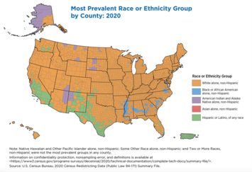 ethnic-demographics-in-usa.png