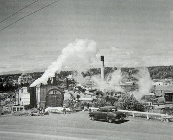 shelton-wa-sawmills-in-washington.jpg