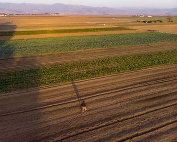 farming-large-scale.jpg